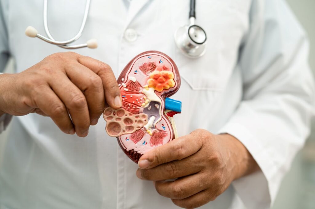 Treatment Options for Kidney Stones: From Medication to Surgery